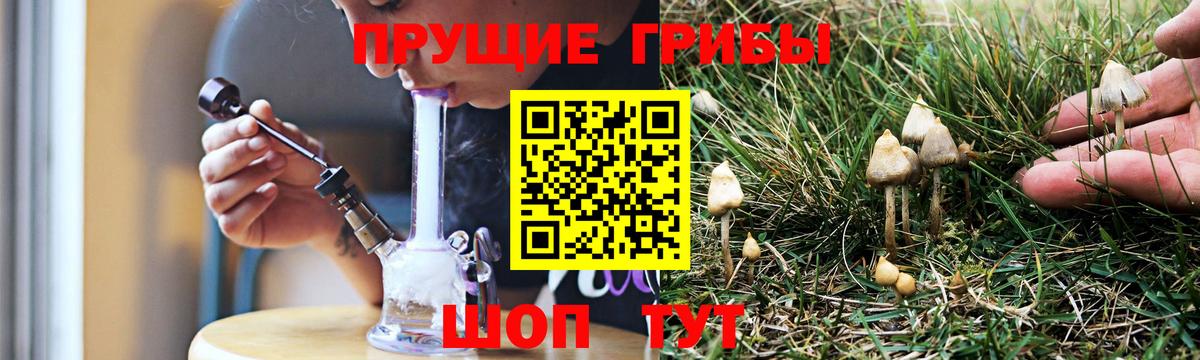 Псилоцибиновые грибы Cubensis  Псилоцибиновые грибы Psilocybe  Вход с VPN  Шадринск 
