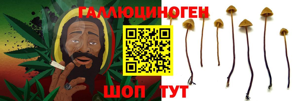 Псилоцибиновые грибы MAGIC MUSHROOMS Шадринск